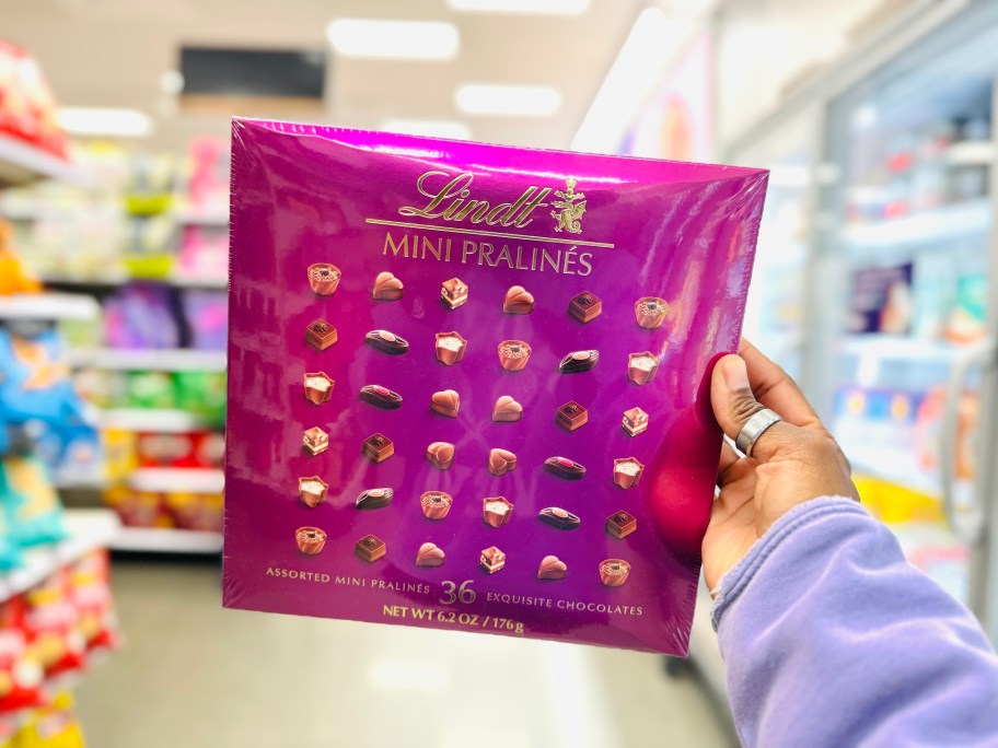 a hand holding up a box of Lindt Pralines 