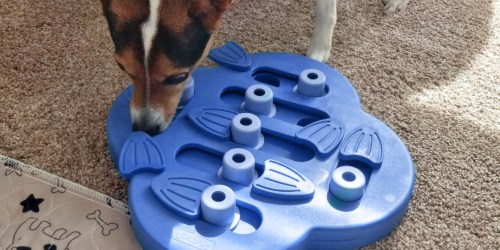 Outward Hound Dog Puzzle Toys Just $9 on Amazon (Regularly $20)