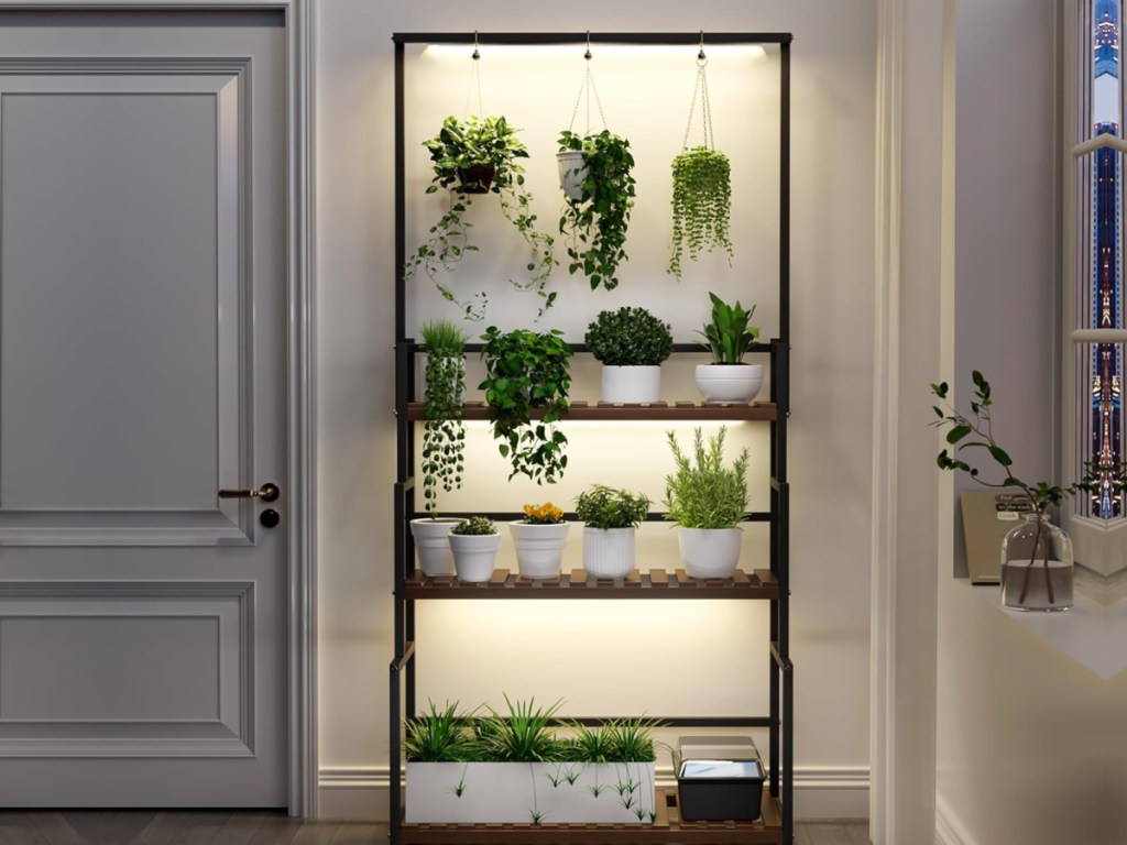 multi tier plant stand with grow lights inside apartment