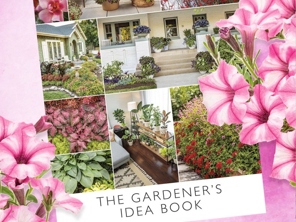 Proven Winners Gardener’s Idea Book with pink flowers on either side