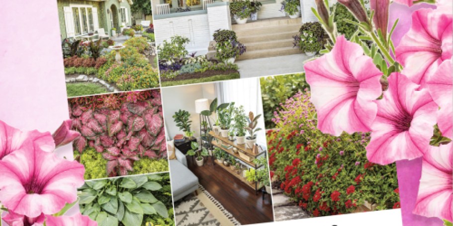 FREE Proven Winners Gardener’s Idea Book | Plant Pairings, Garden Design Ideas, & More!