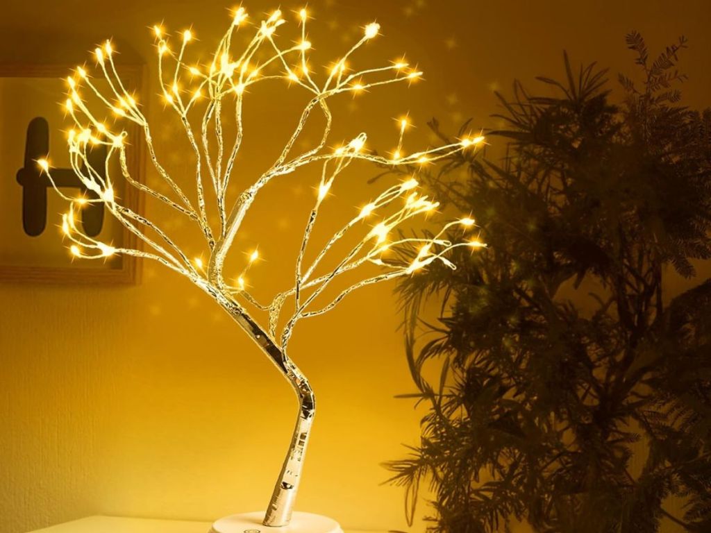 bonsai tree light on table