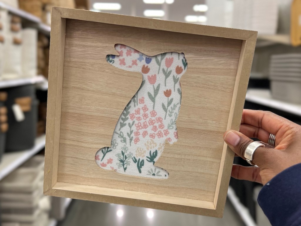 Target Bullseye Playground Framed Rabbit Art