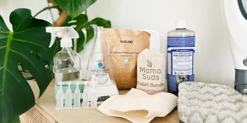 6 Best Natural Cleaning Products for Your Home (100% Toxic Free & Environmentally Safe, Too!)