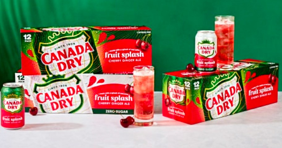 canada dry 12 packs of soda on table with glass full of drink and cans