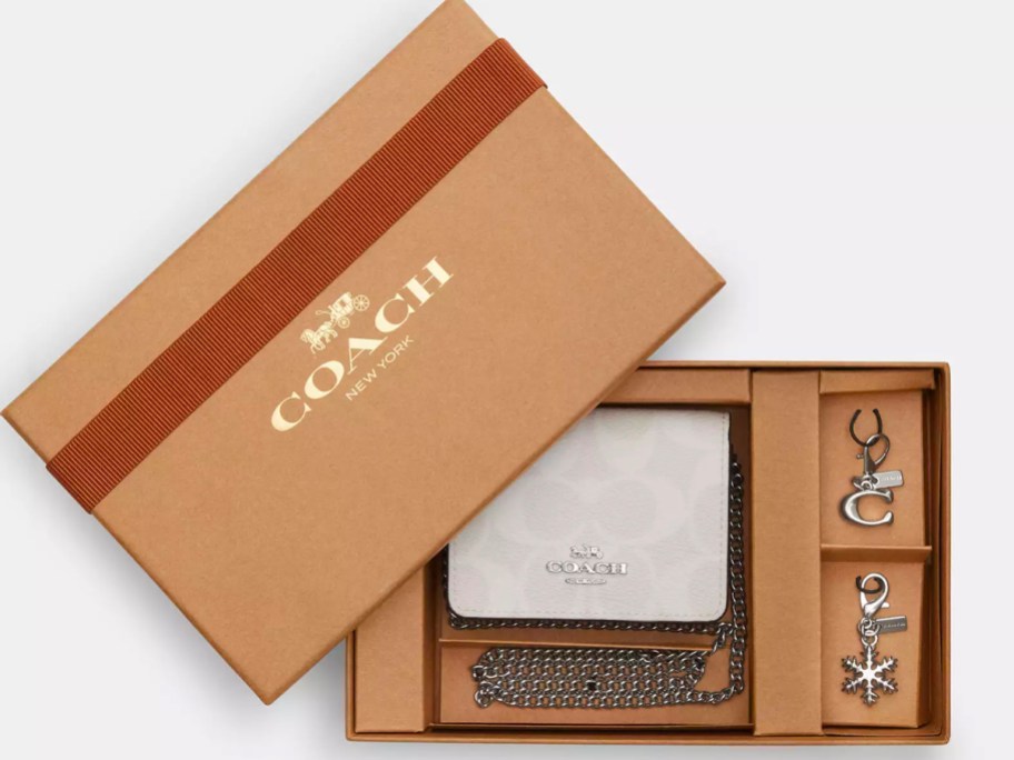 coach wallet on chain in box stock image
