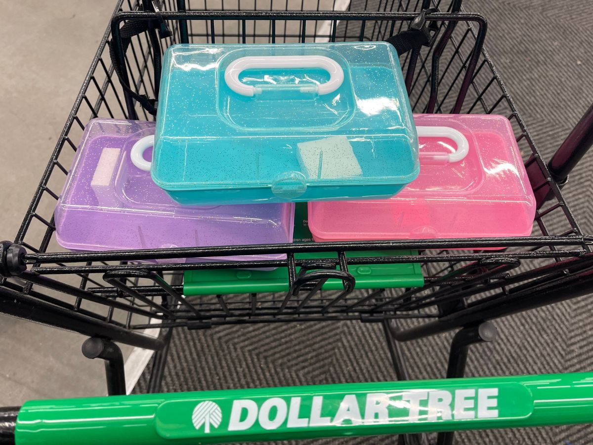 New Glitter Makeup Cases at Dollar Tree: Affordable Caboodles Lookalikes for .25!