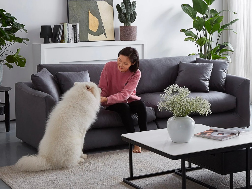 dark grey feathers sectional with woman and dog in living room