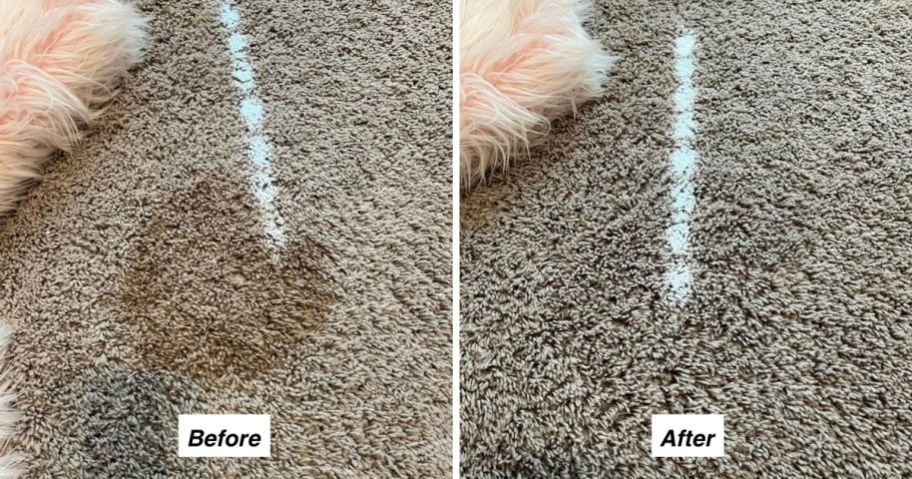 before and after picture of folex carpet cleaner being used