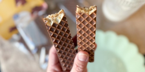 These Walmart Great Value Snacks Taste Better Than Little Debbie & Save You Money!