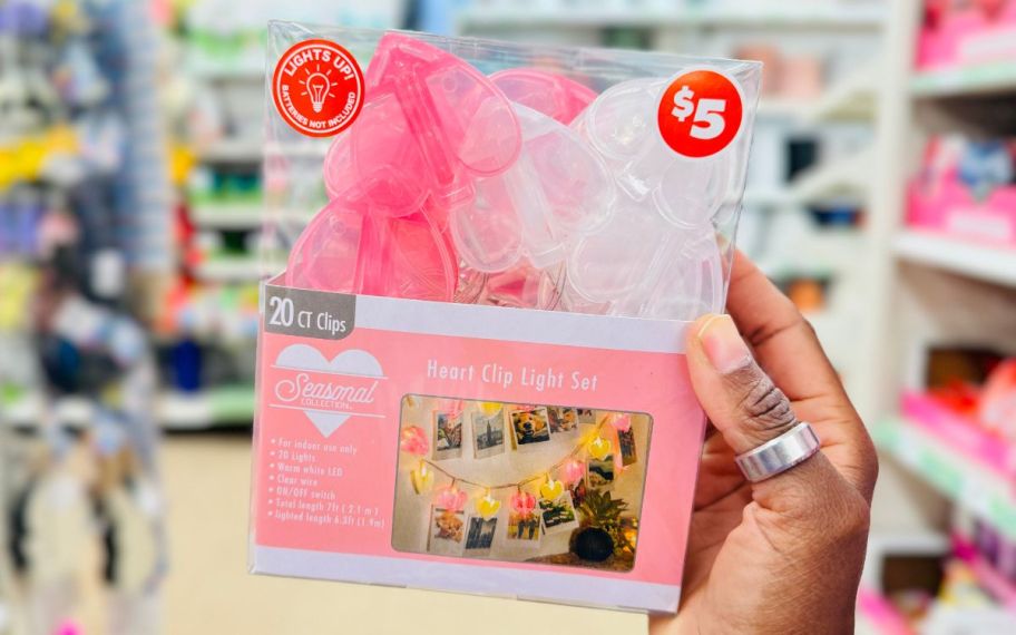 a womans hand holding a package of mini lights with photo clips