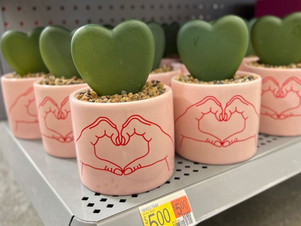 heart shaped succulent in a pink ceramic planter on a shelf in a walmart store