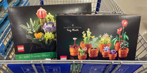 LEGO Tiny Plants & Succulent Building Sets Only $39.98 at Sam’s Club