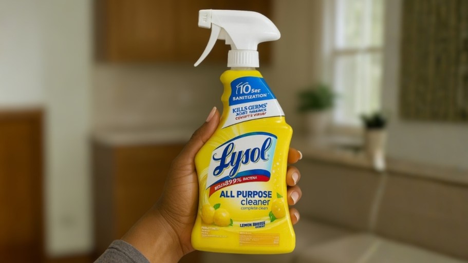 Lysol All-Purpose Spray Cleaner 2-Pack Only $4.54 Shipped on Amazon
