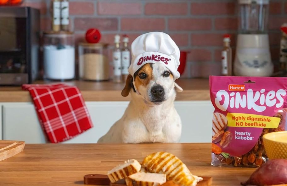 a dog at a kitchen counter wearing an oinkies chef's hat