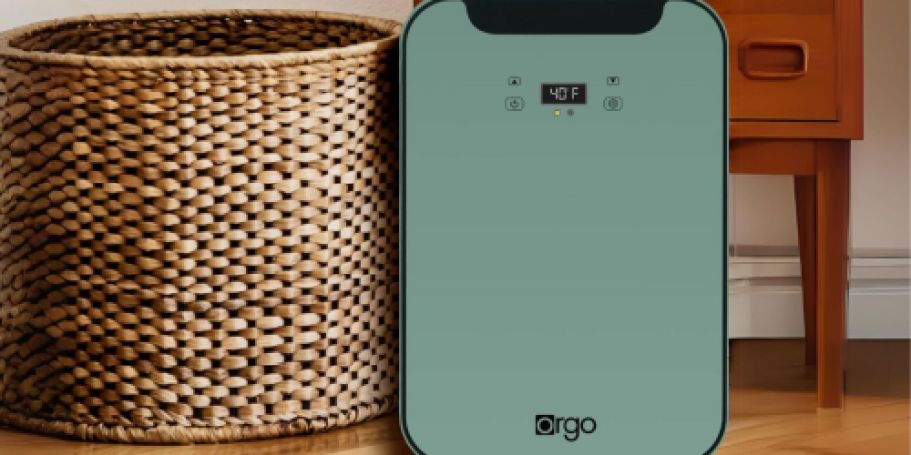 HUGE Price Drop: Orgo Mini Fridge Only $28 on Walmart.com (Reg. $120) | Cools and Heats