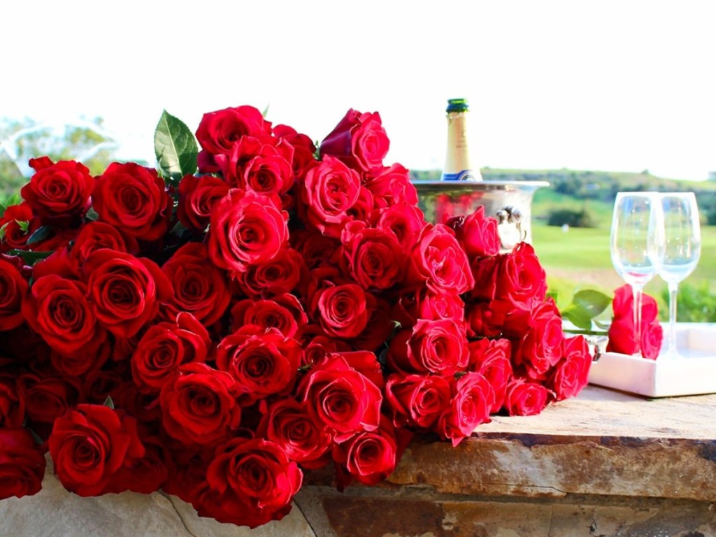 red roses on outdoor balcony