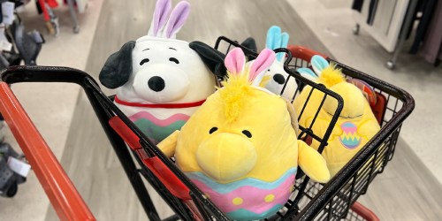NEW Squishmallows Spotted at TJ Maxx – Just $9.99!