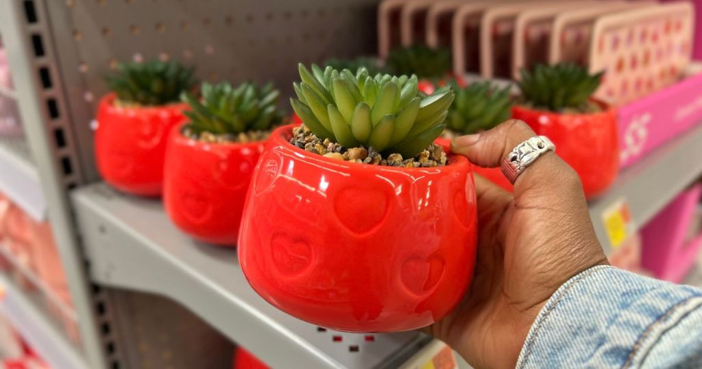 a womans hand displaying a green succulent in a red ceramic planter in a walmart store