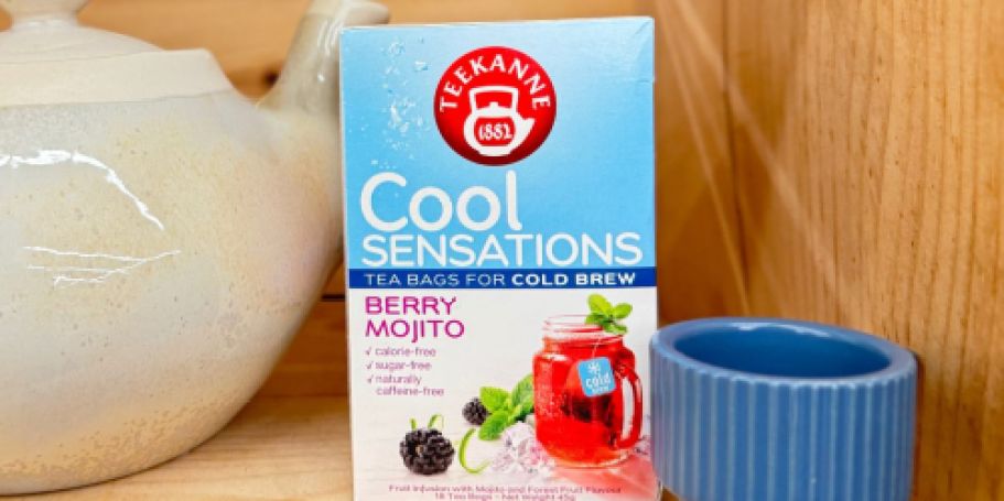 World Market Rewards Members: Free Teekanne Berry Mojito Herbal Cold Brew Tea w/ Purchase ($7 Value)