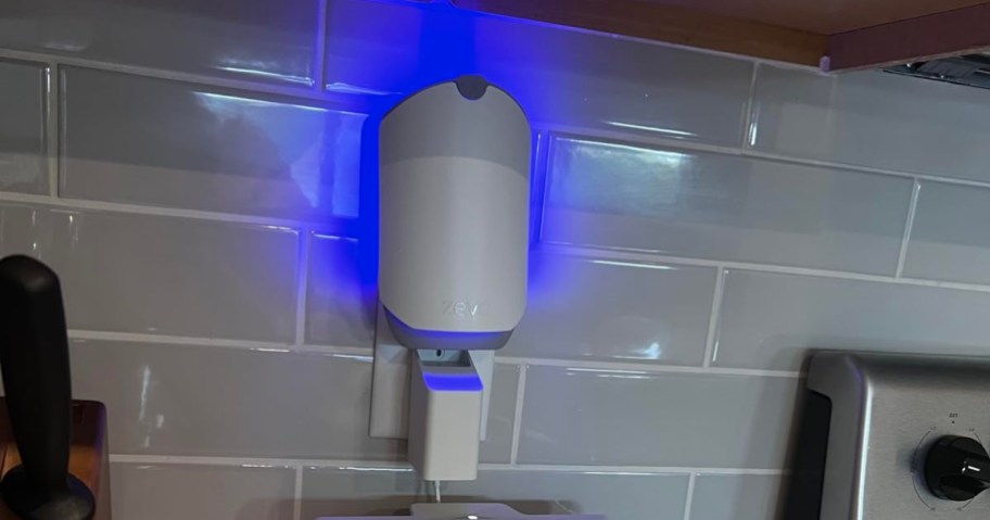 flying insect trap with blue light