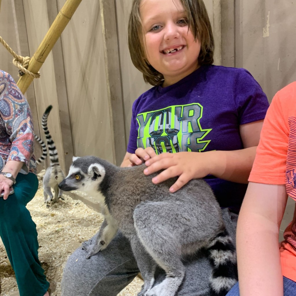 boy sitting with lemur