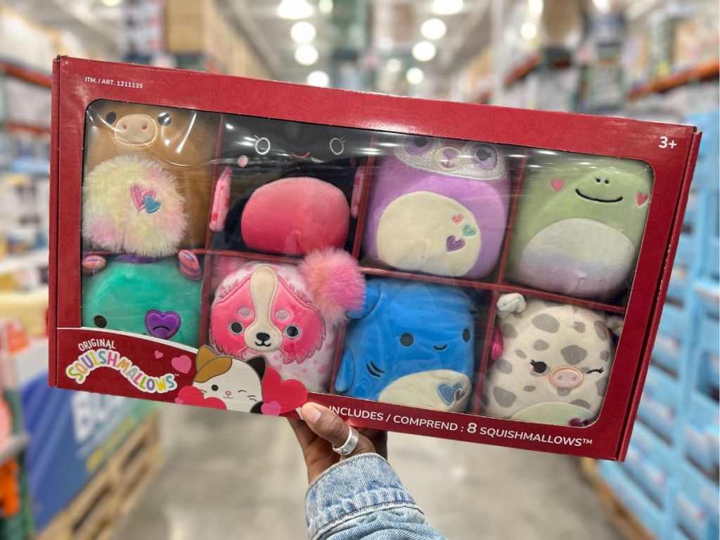 Valentine's Squishmallows 8-Pack in Box in person's hand