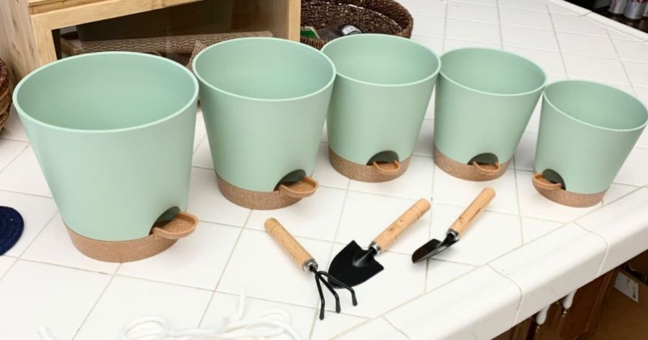 set of 5 light green and brown self-watering planters flower pots with 3 small garden tools on counter