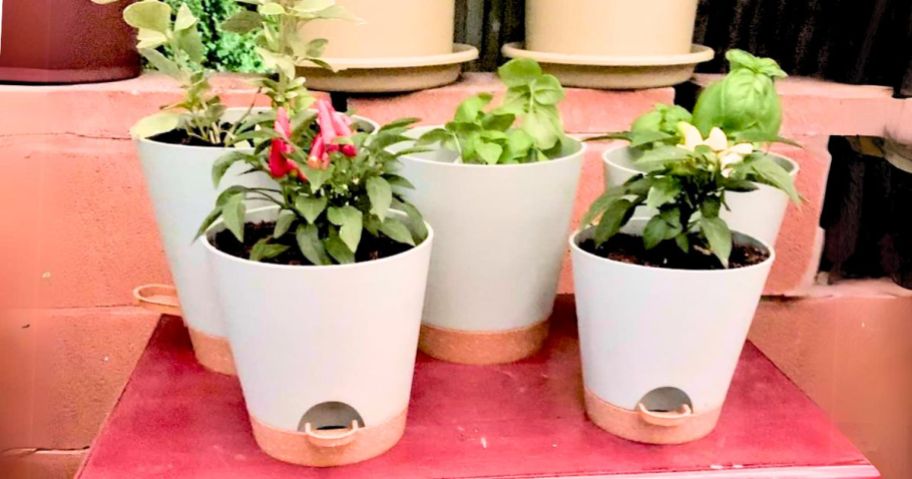 five white and brown self-watering planters with flowers and plants in them on garden table