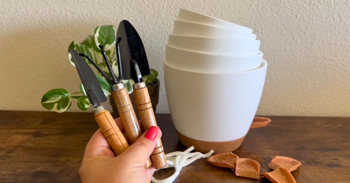 FIVE Self-Watering Planters + 3 Gardening Tools Only $16.99 on Amazon