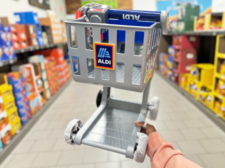 holding up kids aldi shopping cart in store