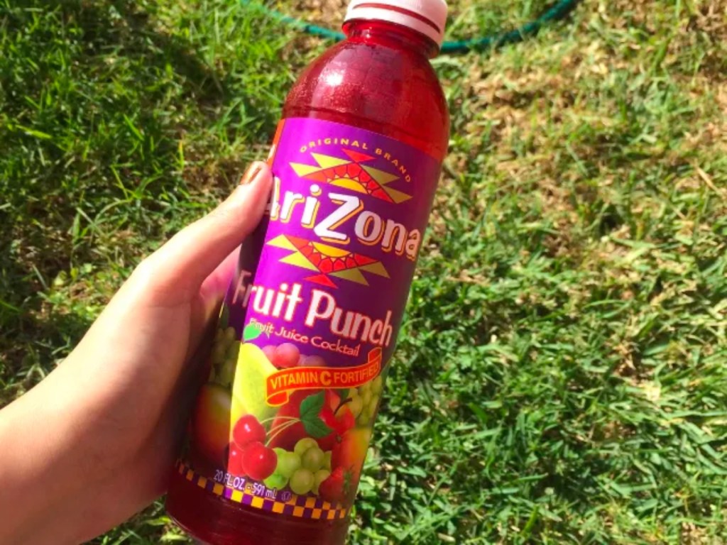 Arizona Fruit Punch Juice Drink 20oz Bottle