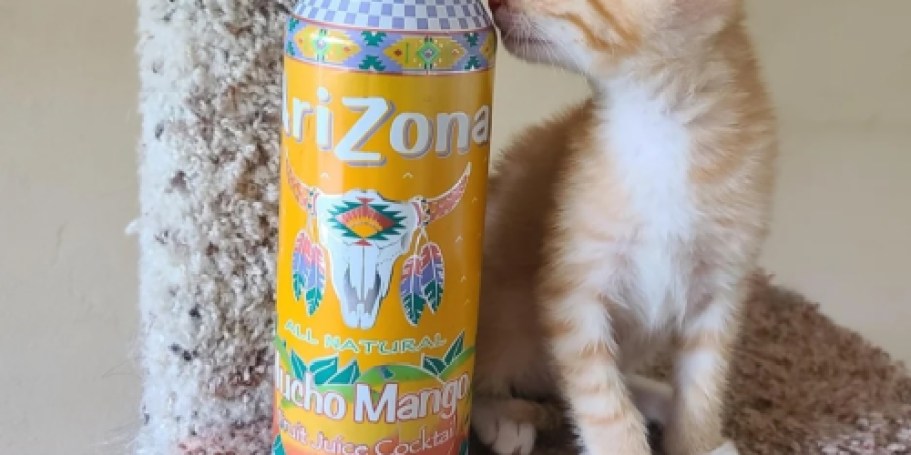 Arizona Mango Juice Cocktail 14-Pack Only $9 Shipped on Amazon