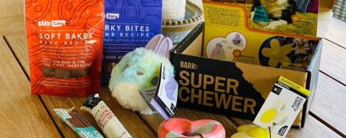 A Bark Super Chewer Box with treats and toys
