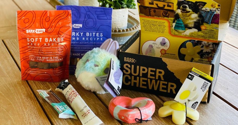 A Bark Super Chewer Box with treats and toys