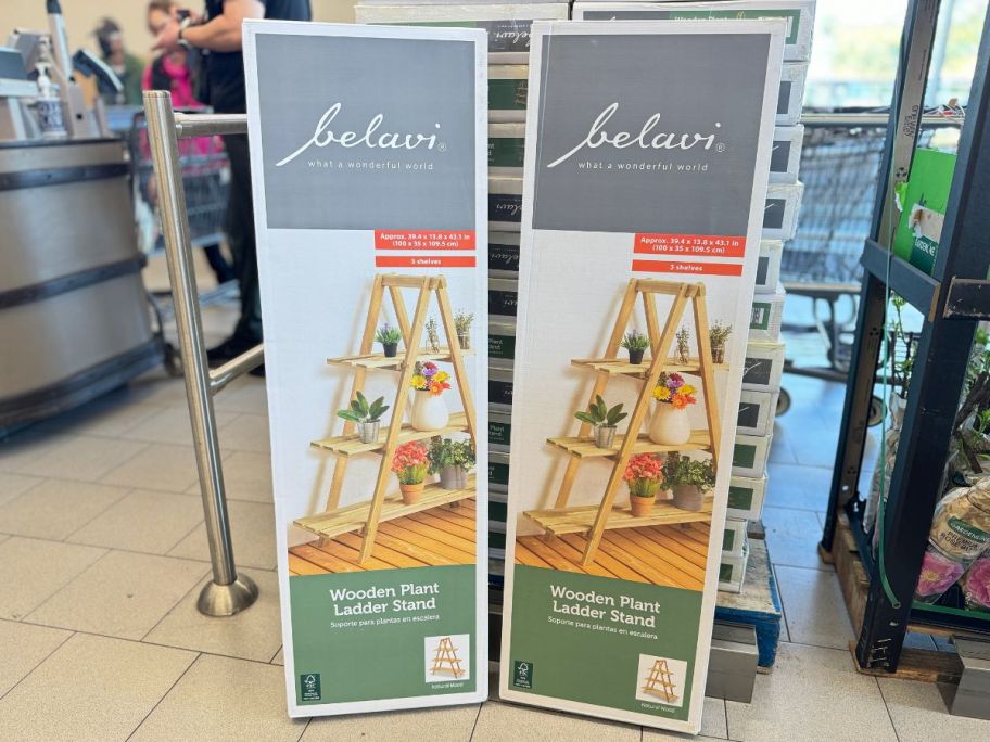 Belavi Wooden Plant Ladder Stand