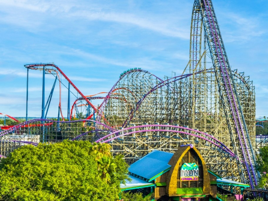large roller coasters at Busch Gardens Tampa park