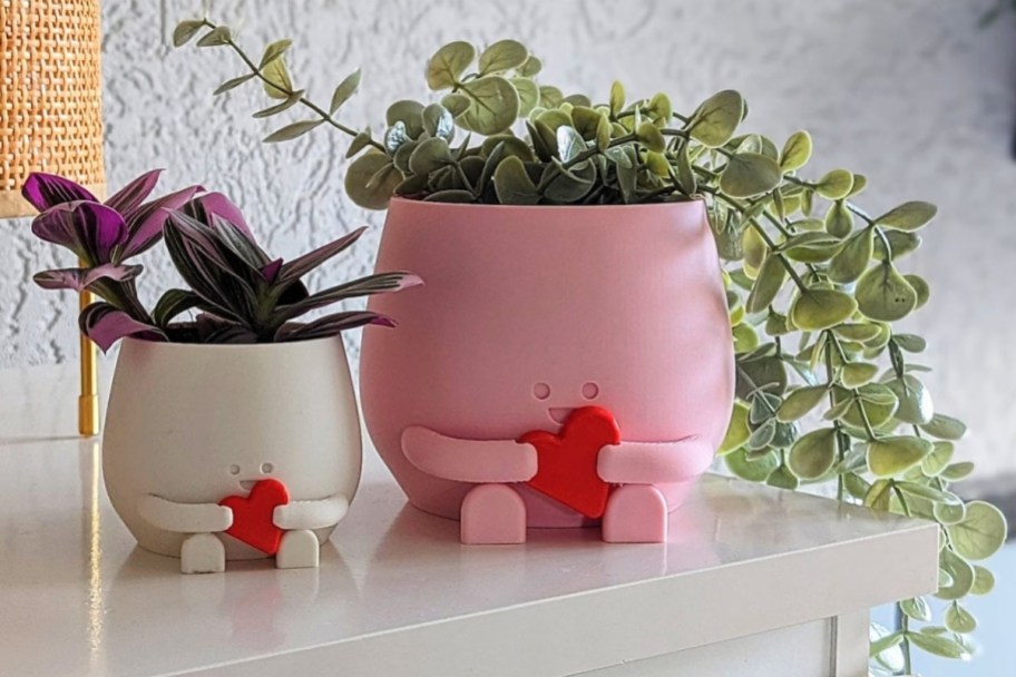 two cute planters holding a heart