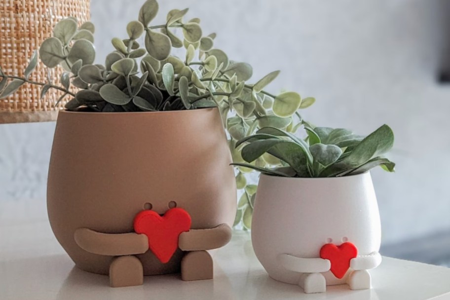 two cute planters holding hearts
