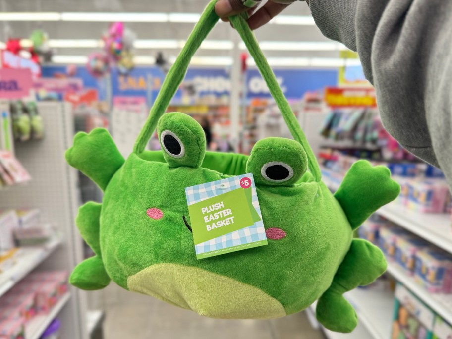 Frog Plush Easter Basket being held in Five Below