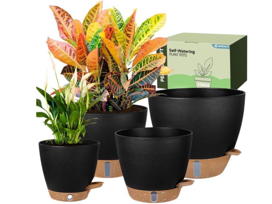 Goproauto Self-Watering Planters 4-Pack