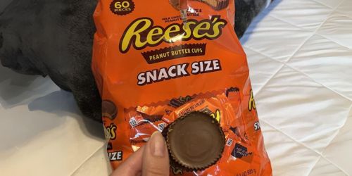 Reese’s Snack Size 2-Pound Bag Only $7.71 Shipped on Amazon + More!