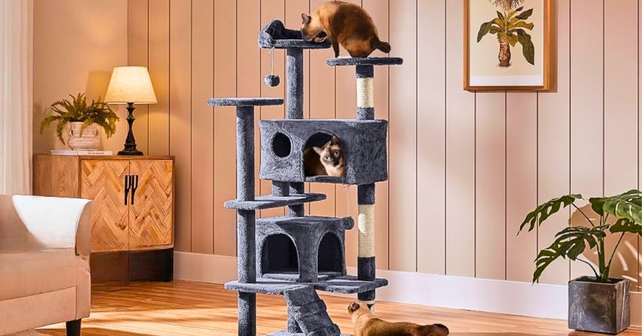 Multi-Level Cat Tree Only $59 Shipped on Amazon | Over 26,000 5-Star Reviews!