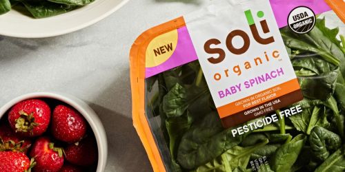 FREE Soli Organic Salad at Target After Rebate (Just Use Your Phone!)