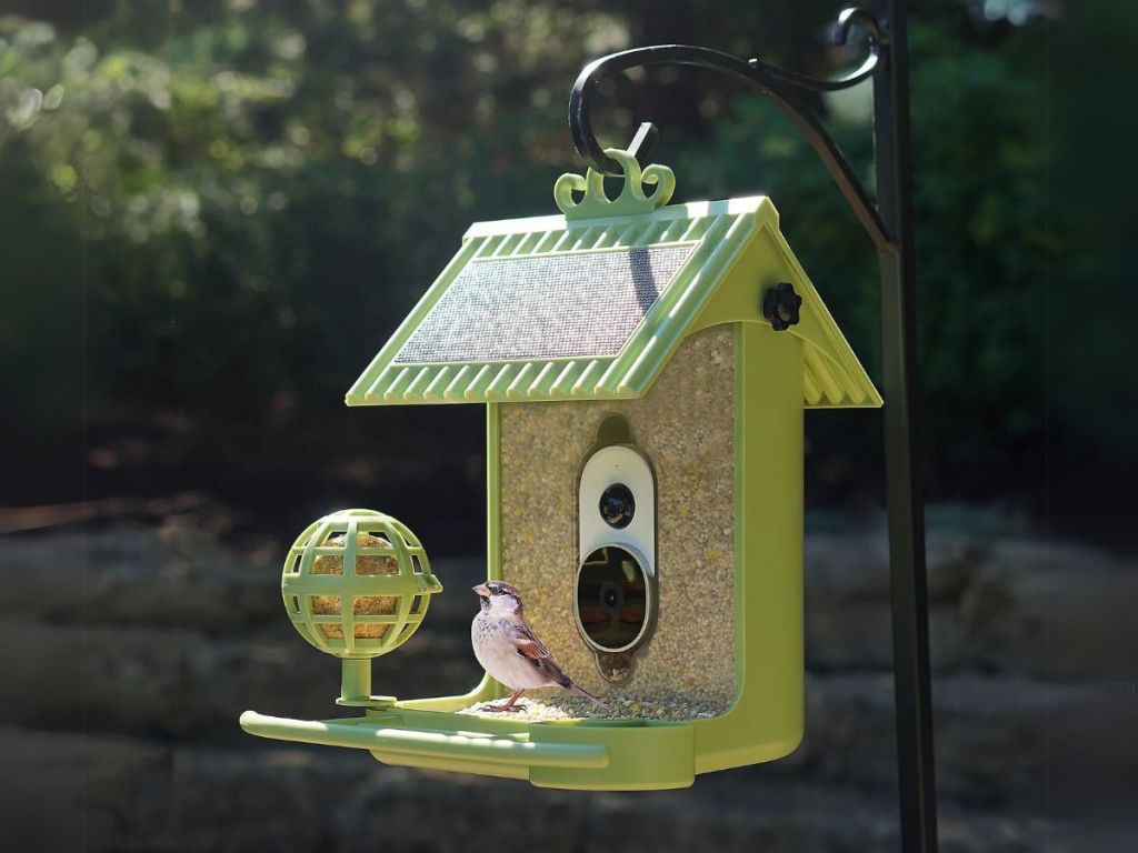 green Hello Birdie solar bird feeder hanging from a hook with a bird sitting on it