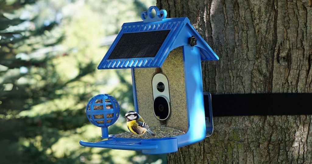 blue Hello Birdie solar bird feeder hanging on a tree with a bird sitting on it