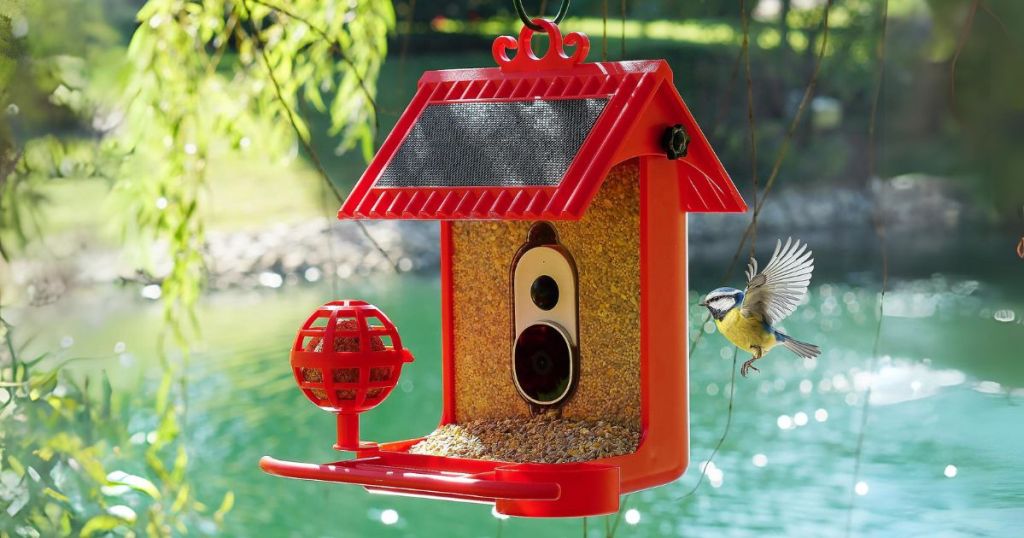 red Hello Birdie solar bird feeder hanging from a hook with a bird flying towards it