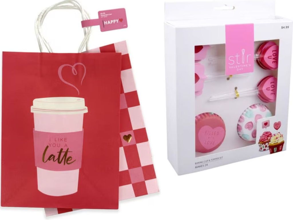 Valentine;'s day Gift bags and Cupcake decorating kit