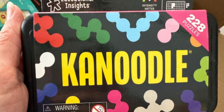 Educational Insights Kanoodle Game Just $8.49 After Walmart Cash