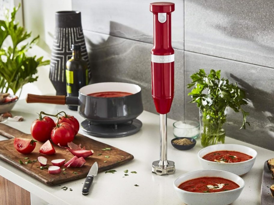 red hand blender on kitchen counter near soup ingredients